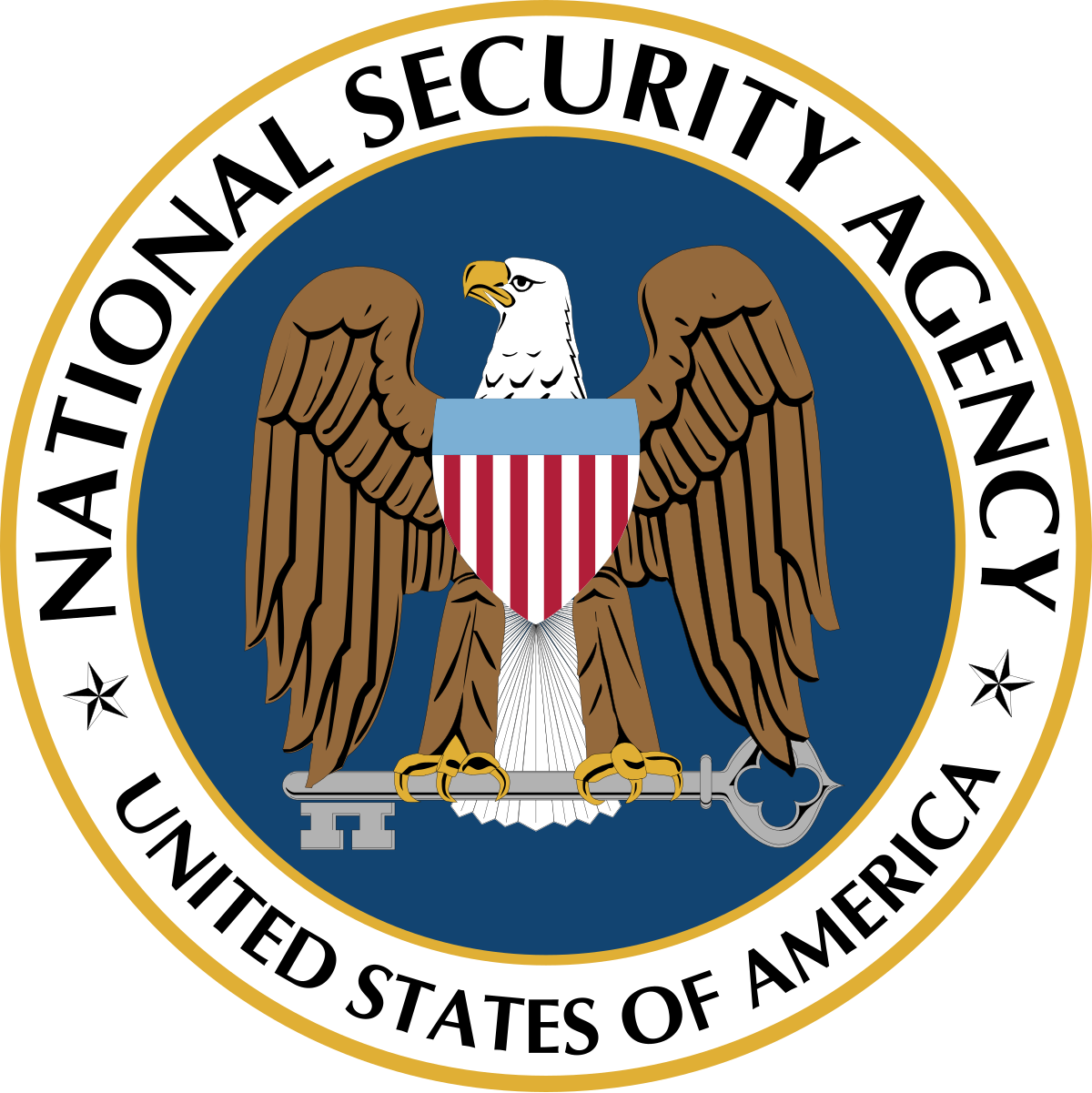 NSA Logo